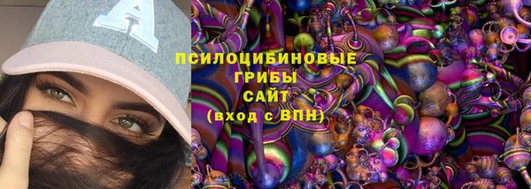a pvp Дмитриев