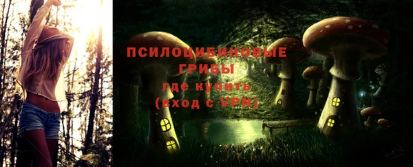 a pvp Дмитриев