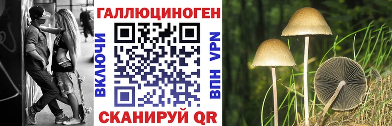 Купить где  Сосенский  Псилоцибиновые грибы GOLDEN TEACHER 